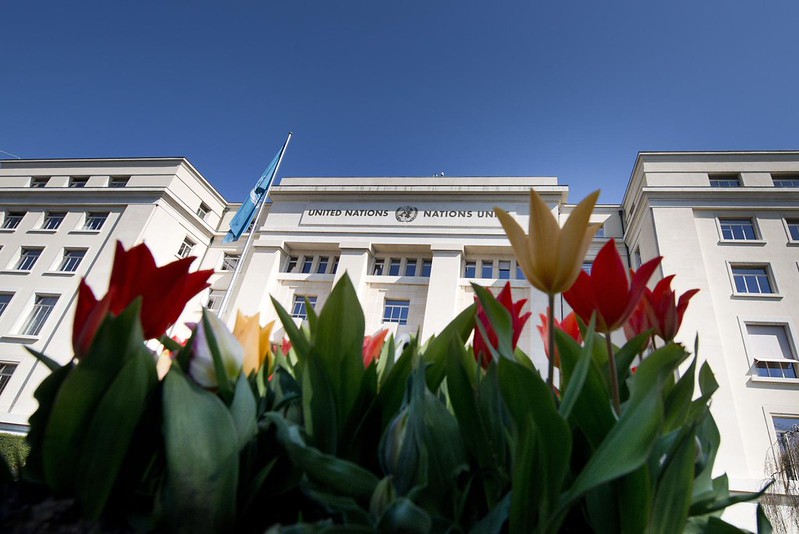 Fellowships and Internships